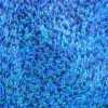 Blauw - immagine 3