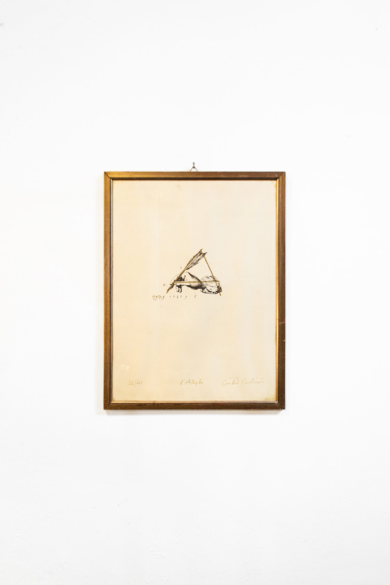 The Aleph