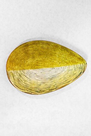 Portaoggetti Del Campo