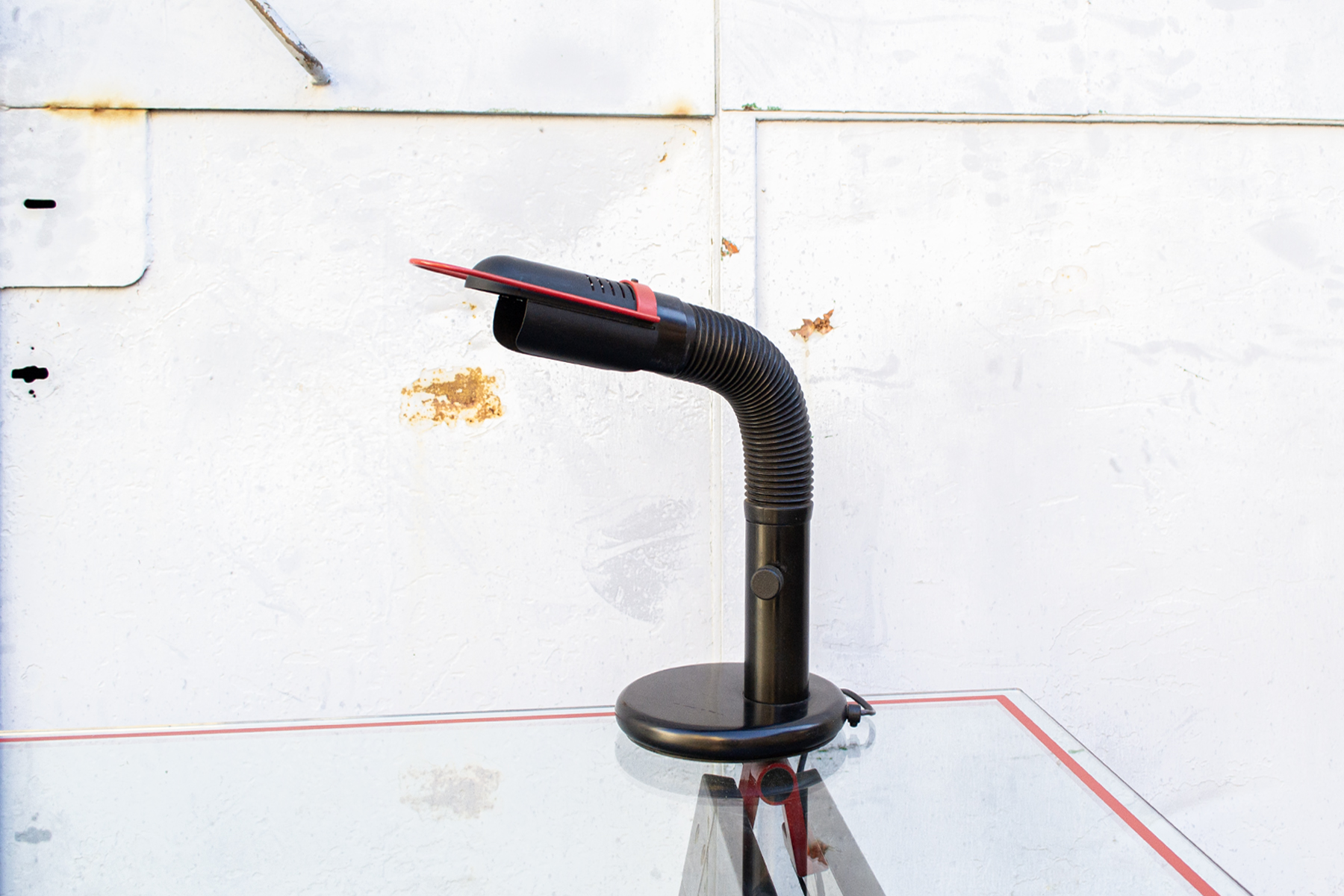 Gaetano con Lampada - immagine 6