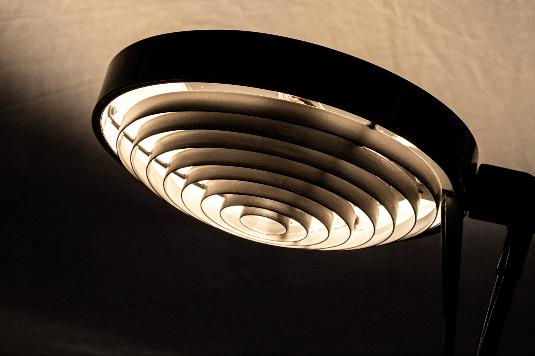 Elle 55 - immagine 4